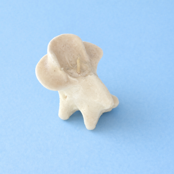 Bone candle