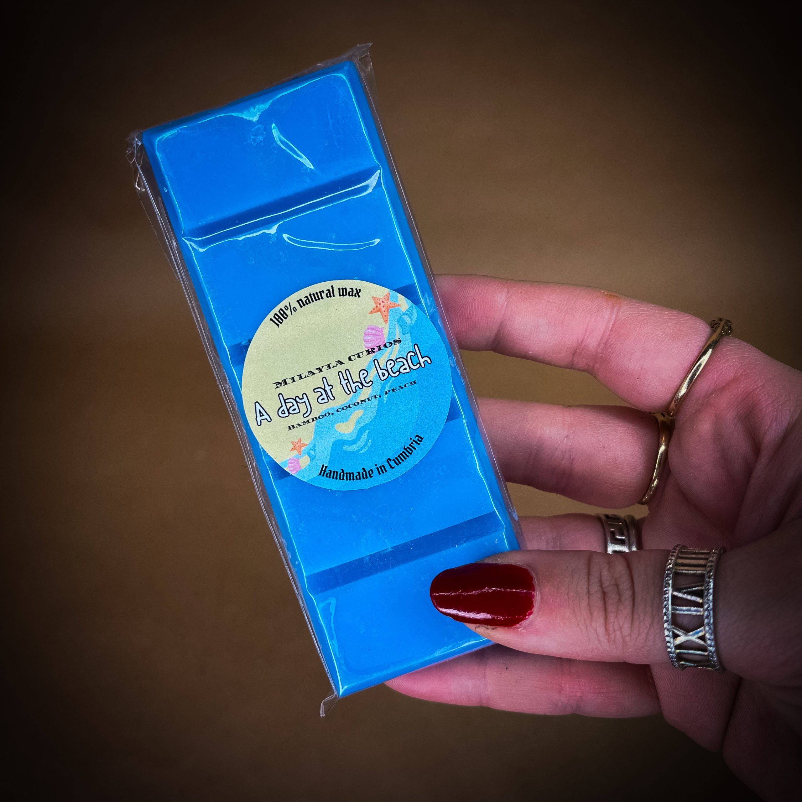 A day at the beach wax melt snap bar