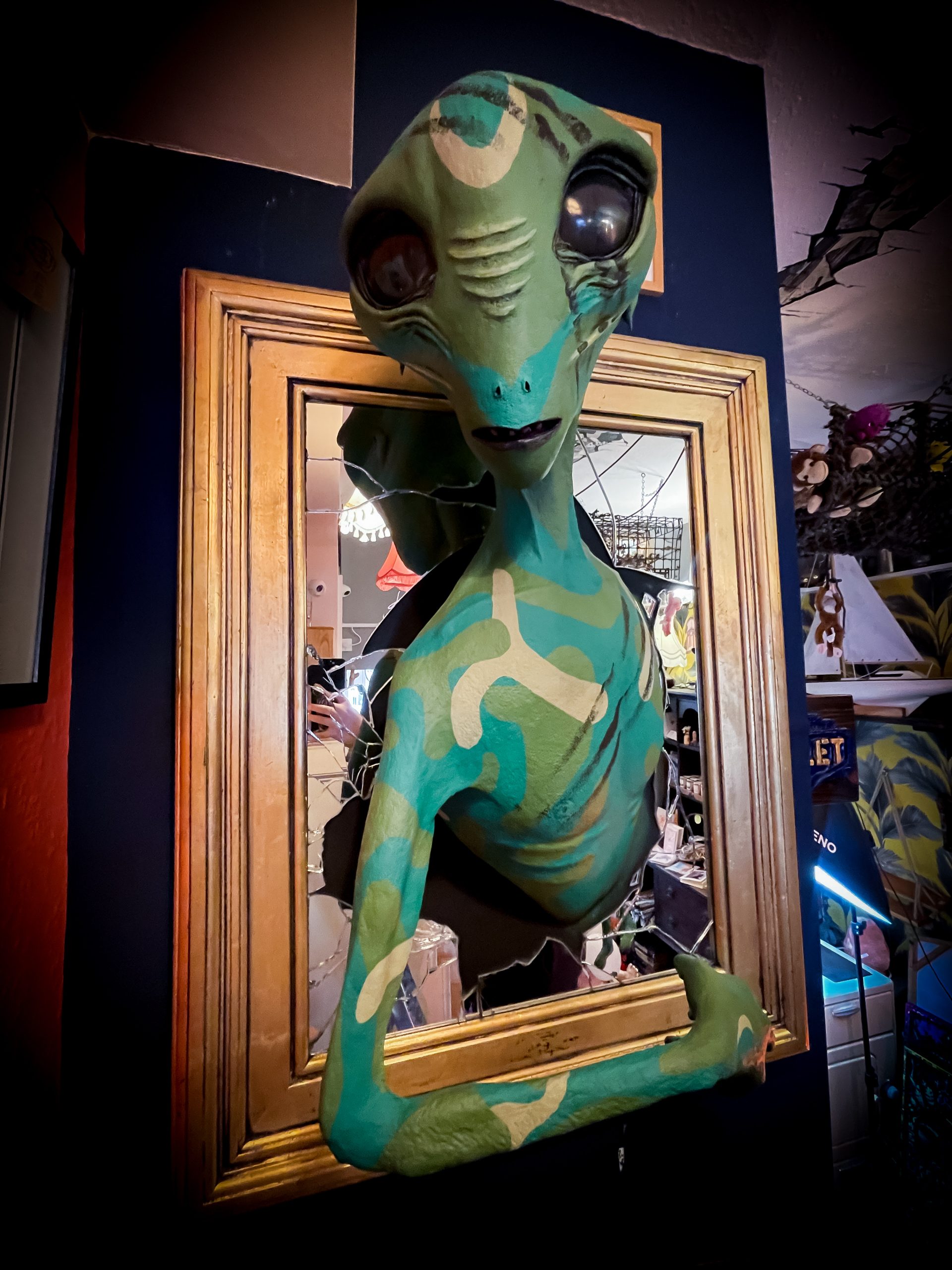 Fauxidermy primitive alien - Image 3