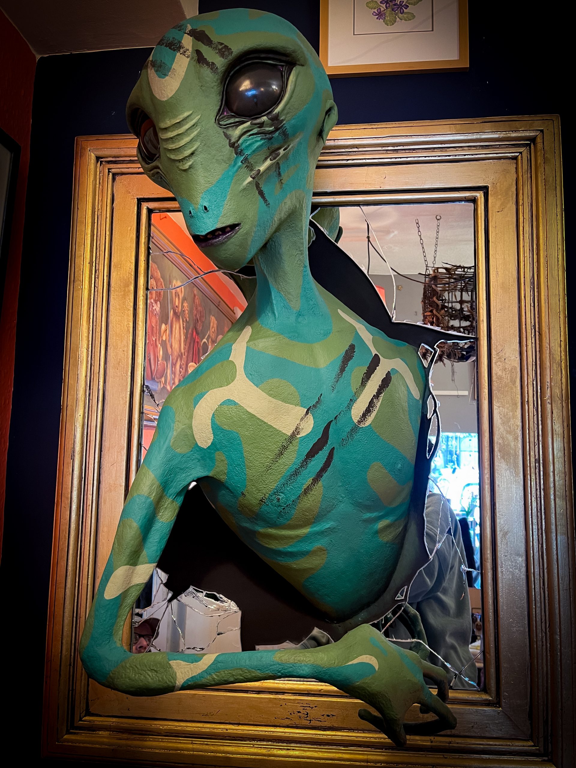 Fauxidermy primitive alien - Image 2
