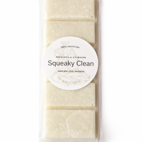 Squeaky Clean wax melt snap bar