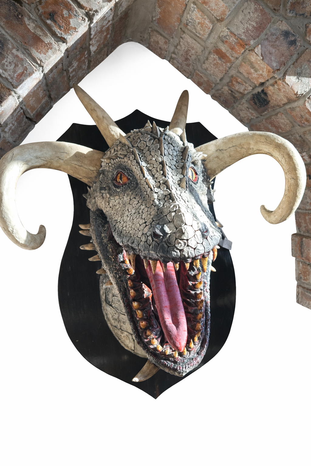 'Plataan' Fauxidermy dragon - Image 5